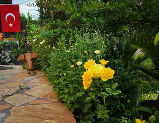 Адрасан: Adrasan Deniz Hotel