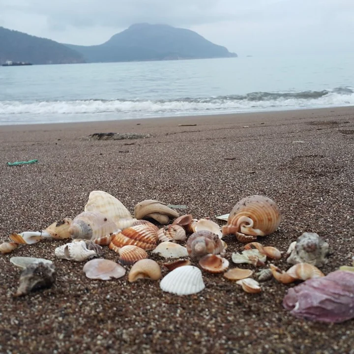 Адрасан: Adrasan Deniz Hotel