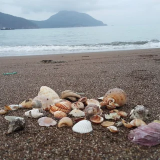 Адрасан: Adrasan Deniz Hotel