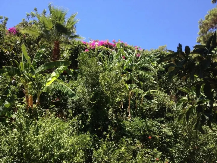 Фетхие: Aygul Hotel