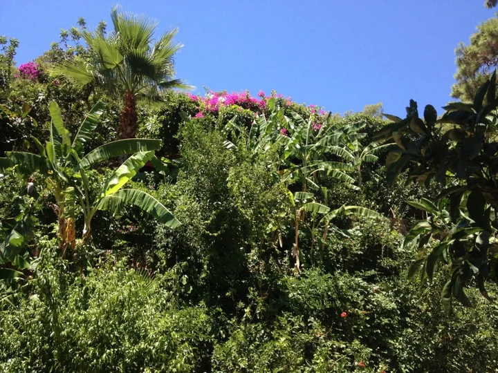 Фетхие: Aygul Hotel