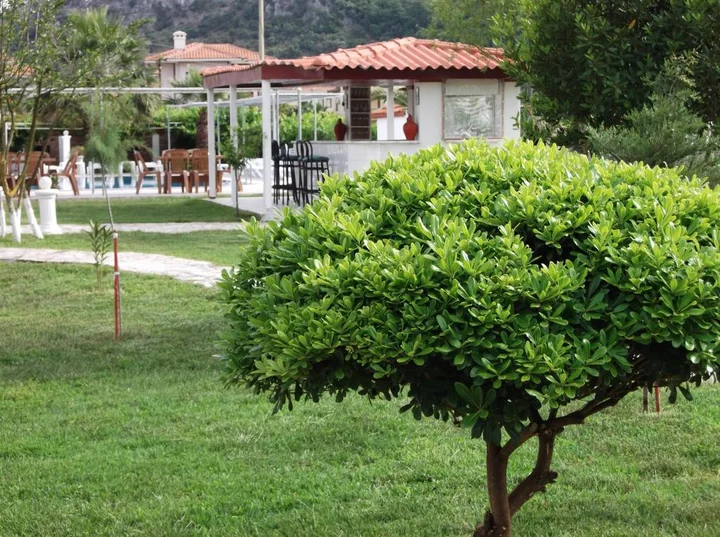 Дальян: Yavuz Hotel