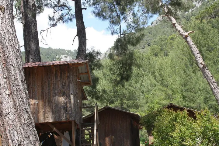 Кумлуджа: Saban Tree Houses