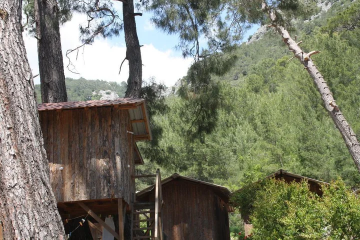 Кумлуджа: Saban Tree Houses