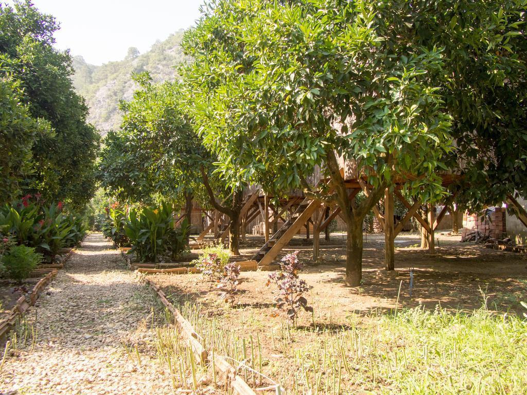 Кумлуджа: Saban Tree Houses