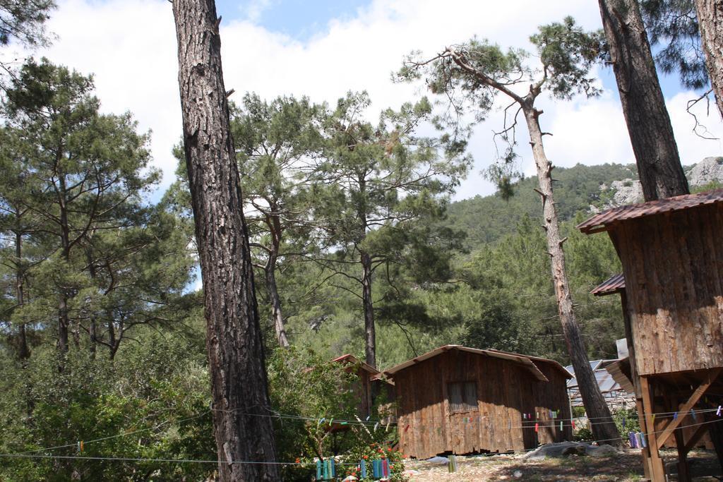 Кумлуджа: Saban Tree Houses