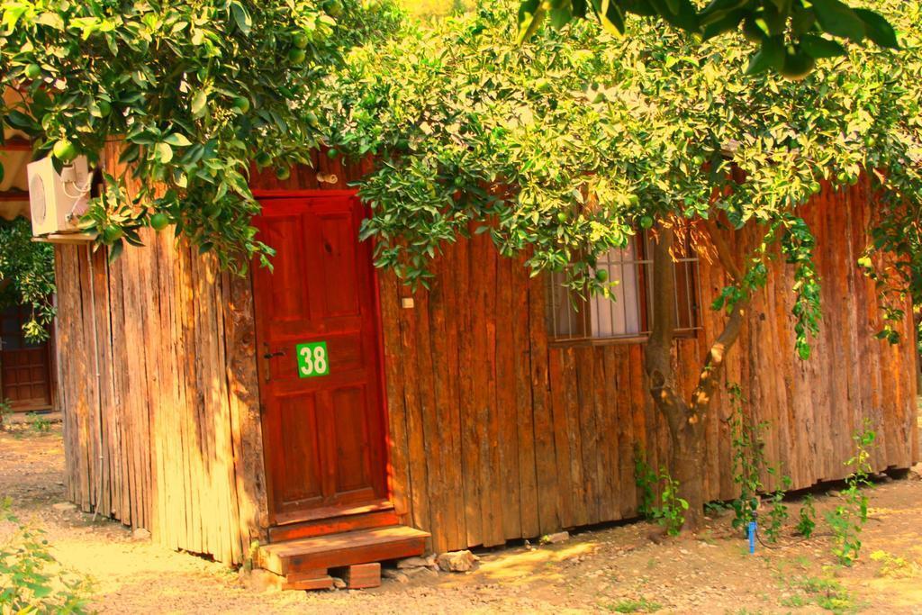 Кумлуджа: Saban Tree Houses