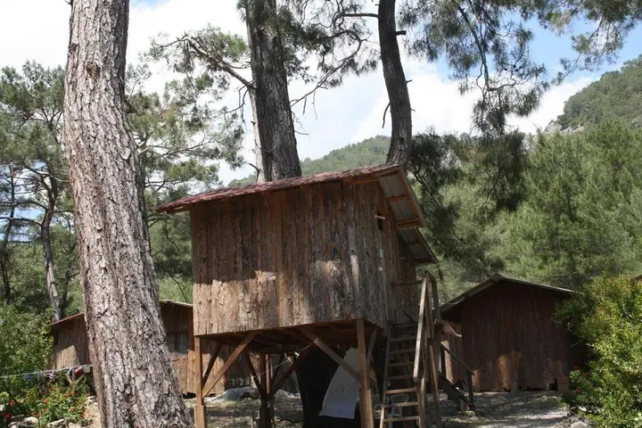 Кумлуджа: Saban Tree Houses