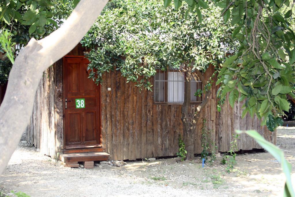 Кумлуджа: Saban Tree Houses