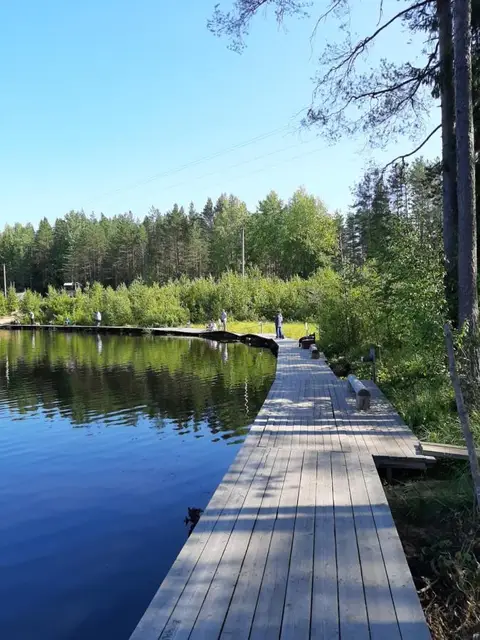 Greenvald Парк Скандинавия — фото 4