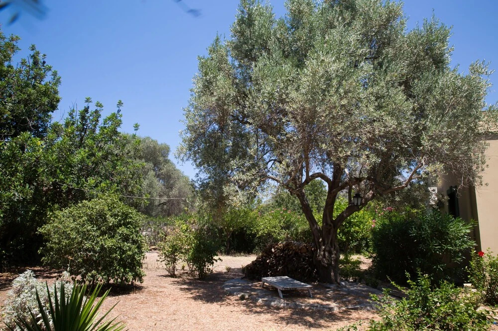 Бодрум: Important Group Villa Costa