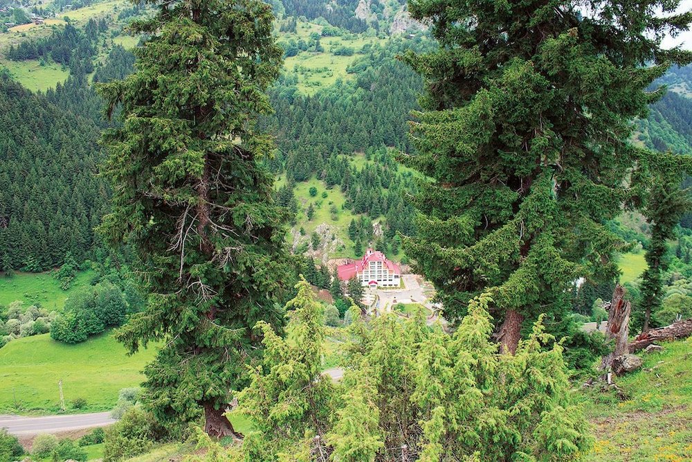 Явузкой: Green Valley Savsat