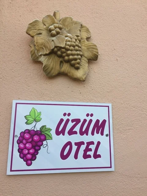 Бозджаада: Uzum Hotel