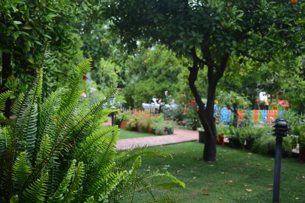 Чиралы: Caretta Caretta Pension