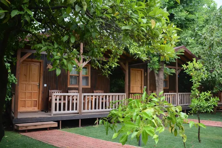 Чиралы: Caretta Caretta Pension