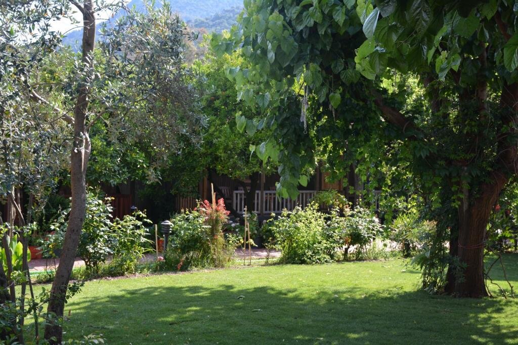 Чиралы: Caretta Caretta Pension