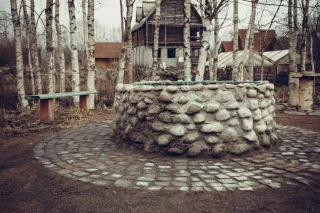 Дубки: Страусиная ферма "Австралийский хутор"