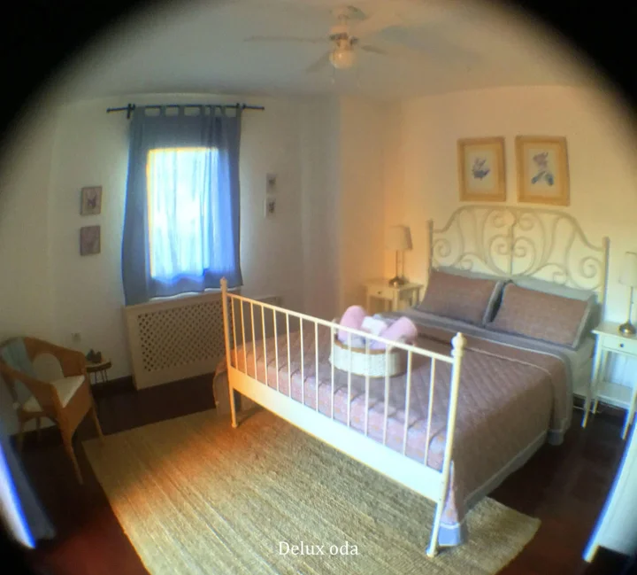 Яликавак: Villa Cosy
