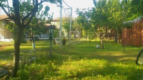 Чиралы: Mehmet Pension