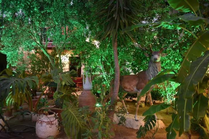 Бодрум: Hotel İstanköy