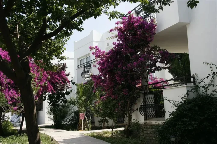 Бодрум: Club Arya Apart Hotel