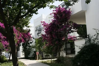 Бодрум: Club Arya Apart Hotel