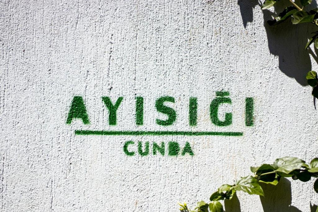 Айвалык: Ayisigi Otel
