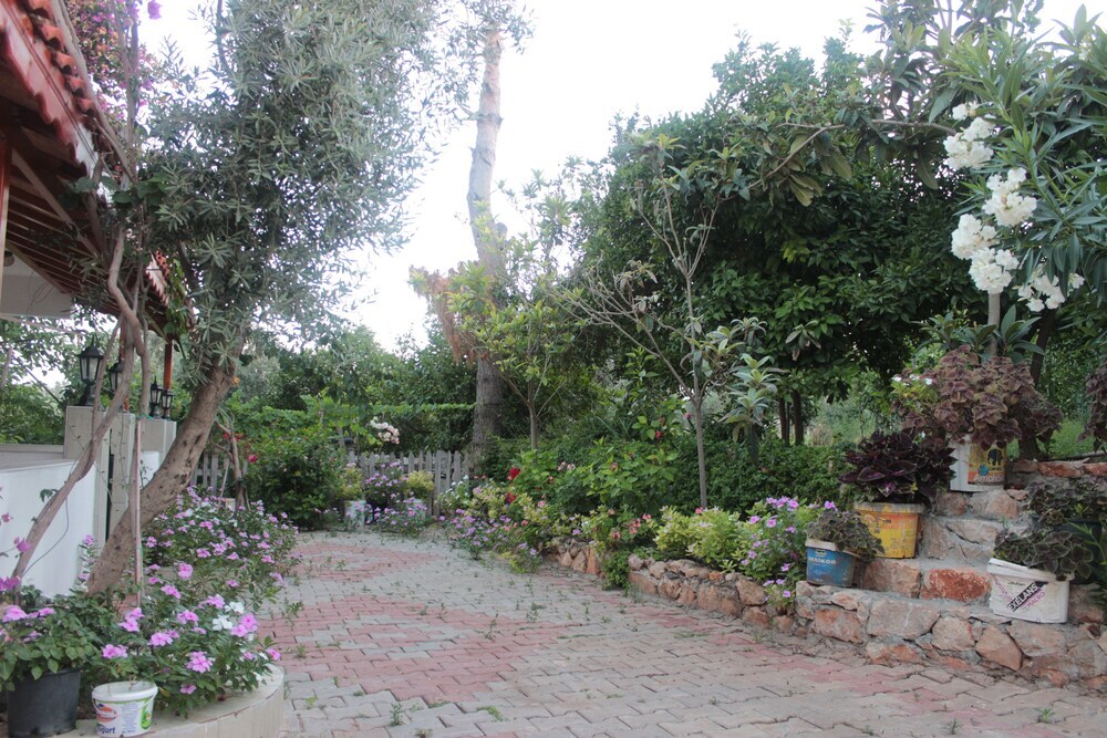 Патара: Zeybek 2 Pension & Apart