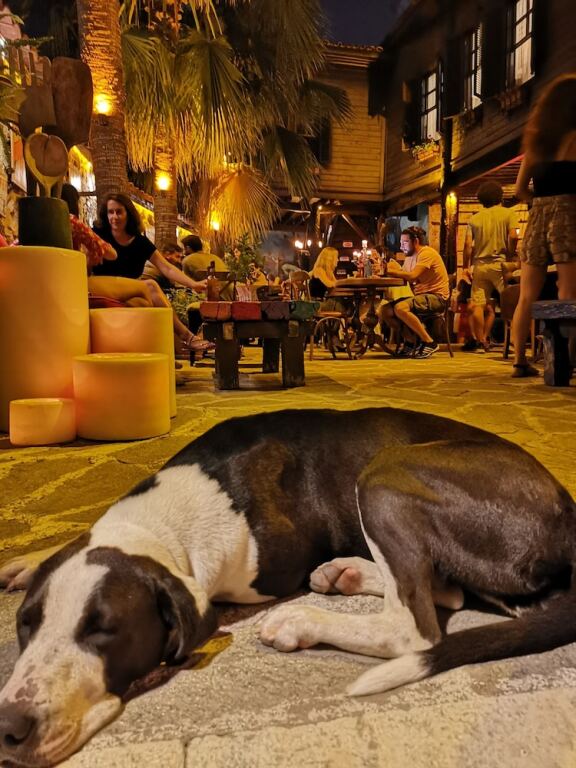 Анталья: Old House Pub Hotels