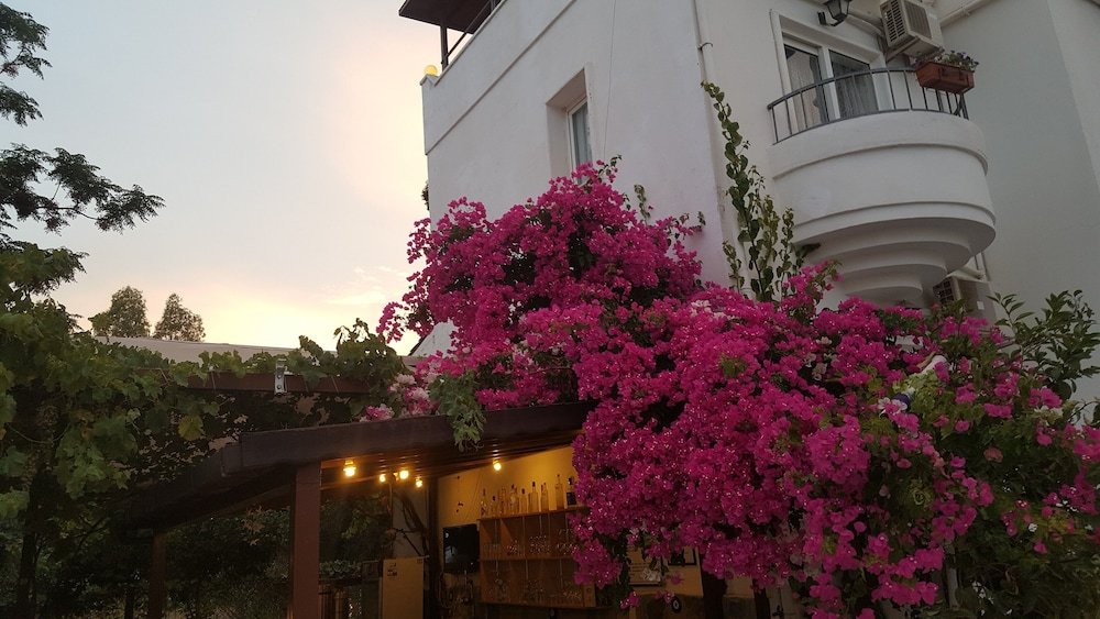 Битез: Bitez Hotel Seaside