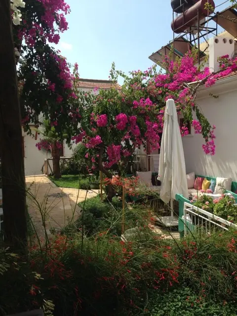 Калкан: The White House Kalkan