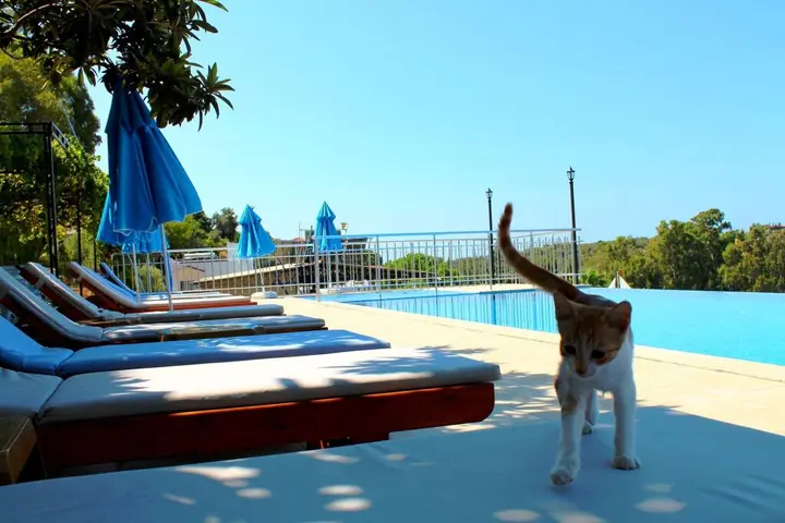 Патара: Hotel Patara Sun Club