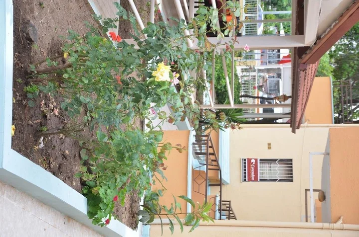 Мармарис: Bonjorno Apartment
