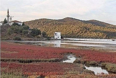 Милас: Flamingo Resort Bodrum