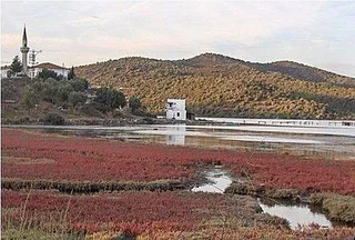 Милас: Flamingo Resort Bodrum