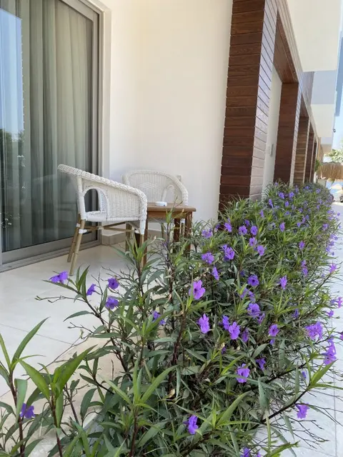 Бодрум: Курортный отель Zest Exclusive Hotel and Spa