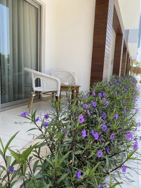 Бодрум: Курортный отель Zest Exclusive Hotel and Spa