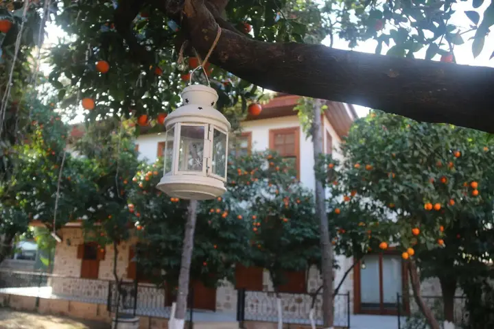 Citrus Garden Hotel — фото 2