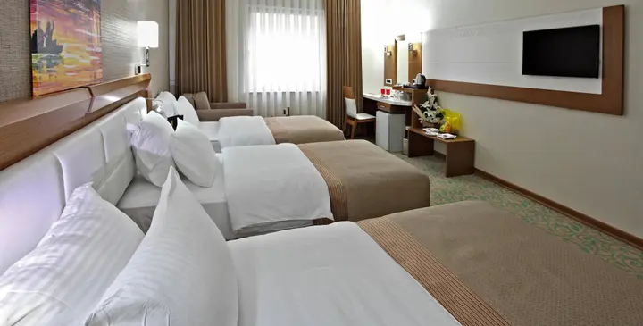 Конья: Selcuk Hotel