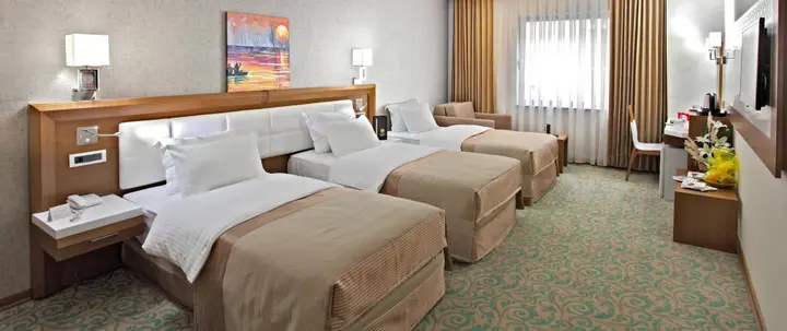 Конья: Selcuk Hotel