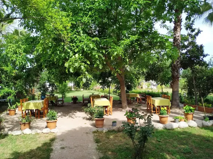 Чиралы: Olympos Yavuz Hotel