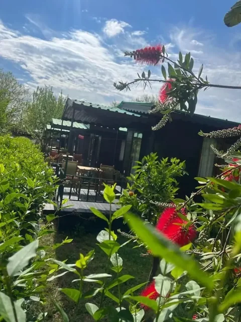 Чиралы: Olympos Yavuz Hotel
