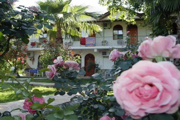 carousel image 0