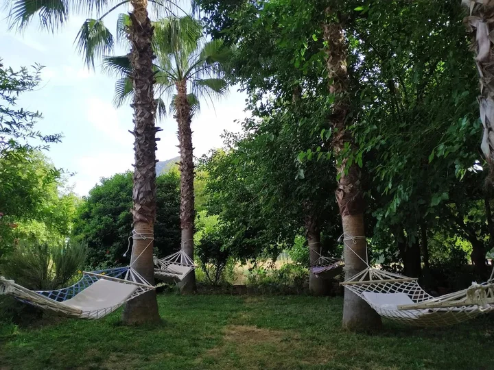 Чиралы: Olympos Yavuz Hotel