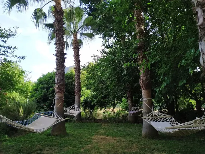 Чиралы: Olympos Yavuz Hotel