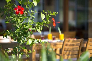 Чиралы: Cirali Hera Hotel