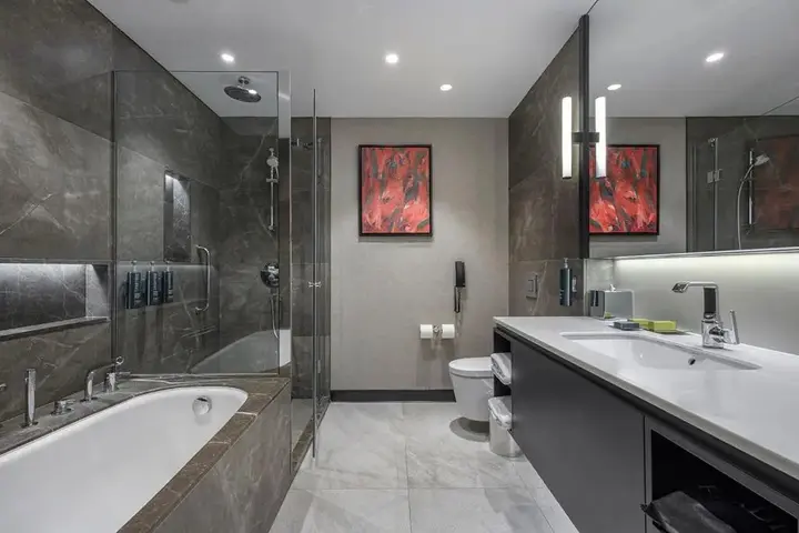 Стамбул: Hilton Istanbul Maslak