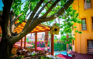 Турунч: Hotel Dores Residence