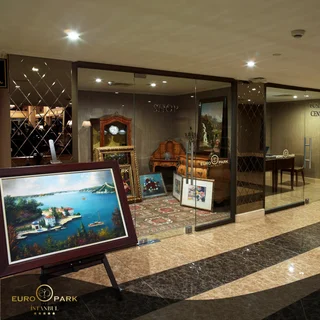 Стамбул: Euro Park Otel