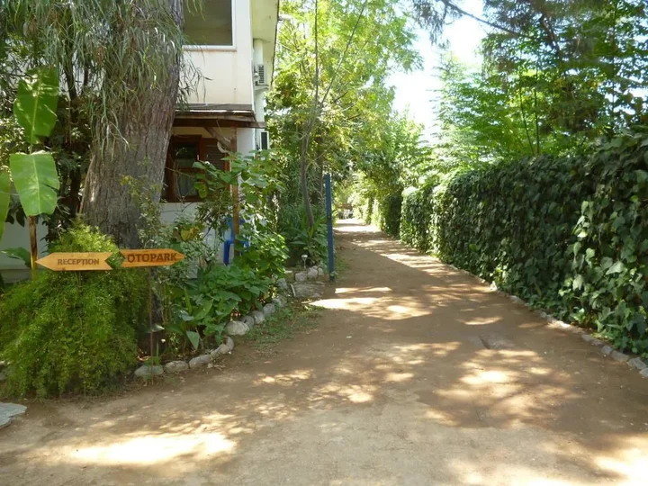Чиралы: Olympos Oase Hotel